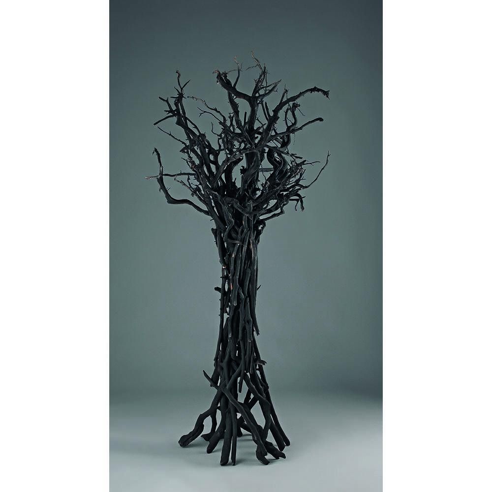 Θαλασσόξυλο